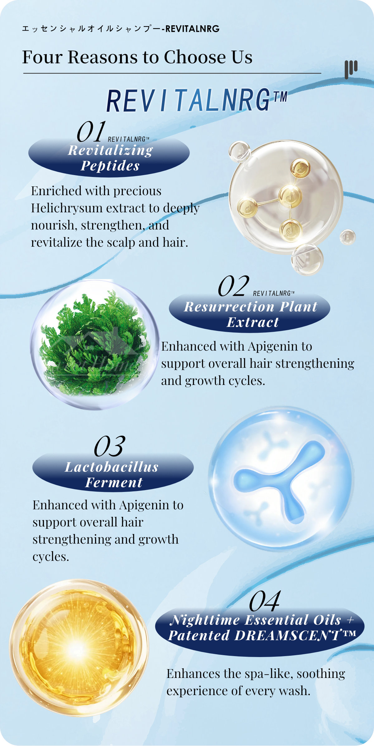 Farcent Essential Oil Shampoo-REVITALNRG-3